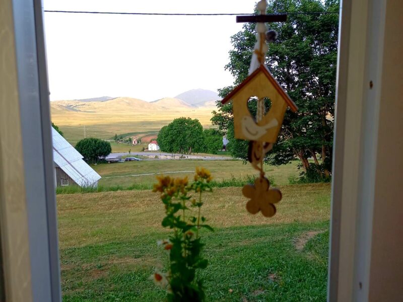 Durmitorski Konak - cozy house in the heart of national park