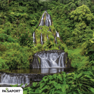 Hot Springs - Coffee Region Colombia 