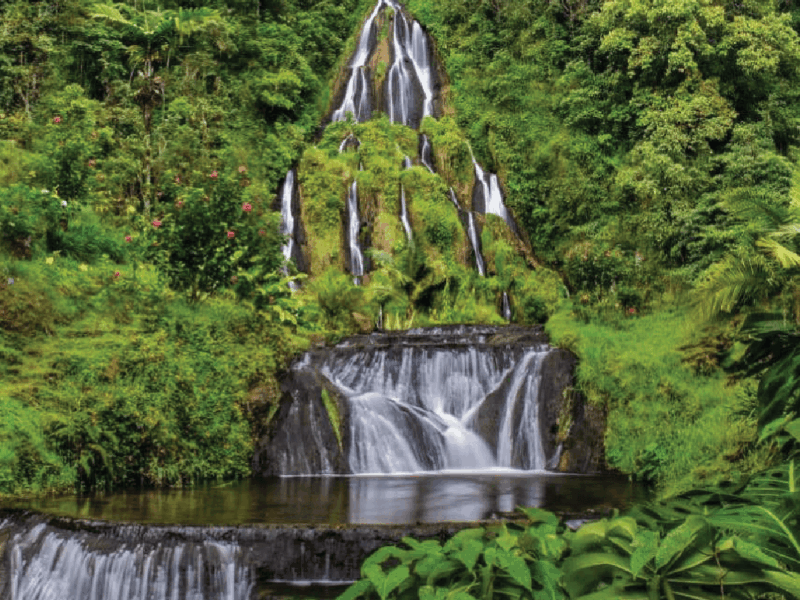 Medellin and Coffee Region - The coffee essentials