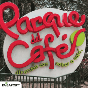 Coffee Experience Tour - Coffee Region Colombia