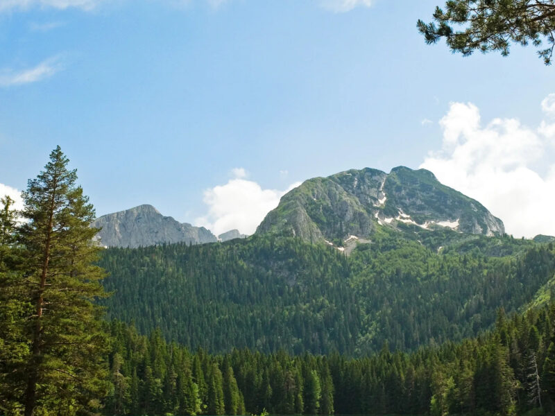 Amazing Montenegro - Laid back