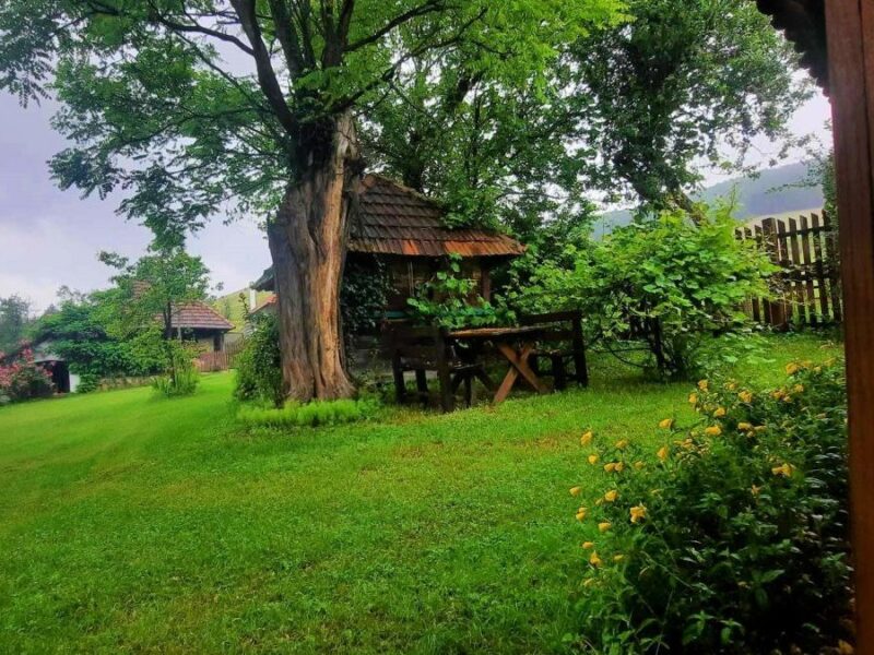 Grandfather’s Vajat - The vajat from which it all began… at Gostoljublje