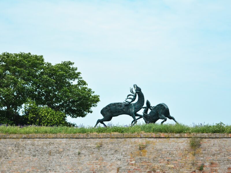 Novi Sad Guided Tour - Meet Serbian city of culture