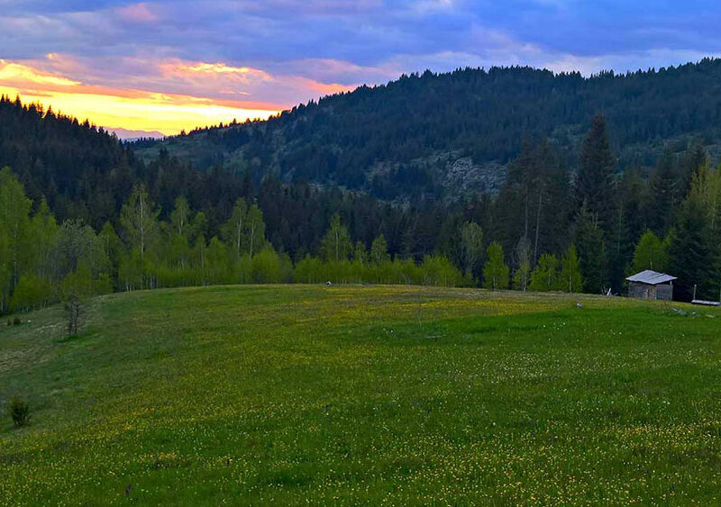 Rustic log cabin at Simo's camp