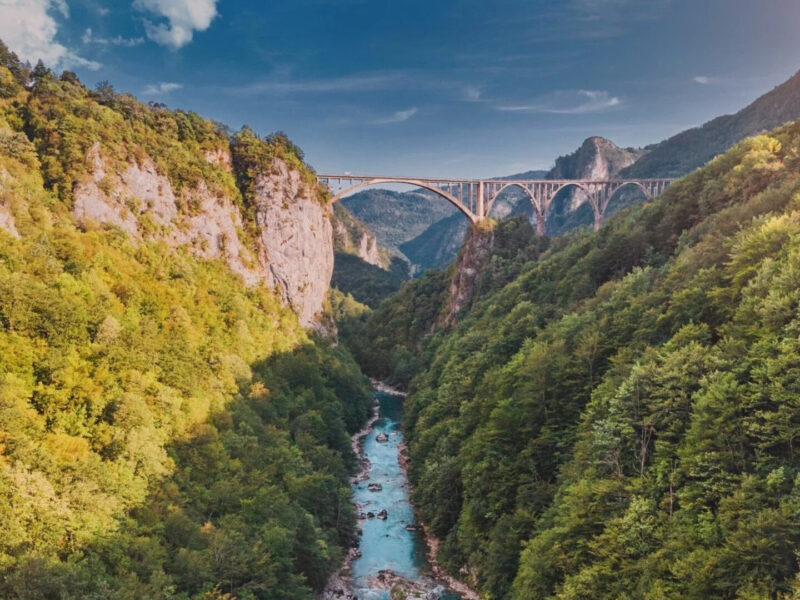 Tara River rafting experience with optional zip line package