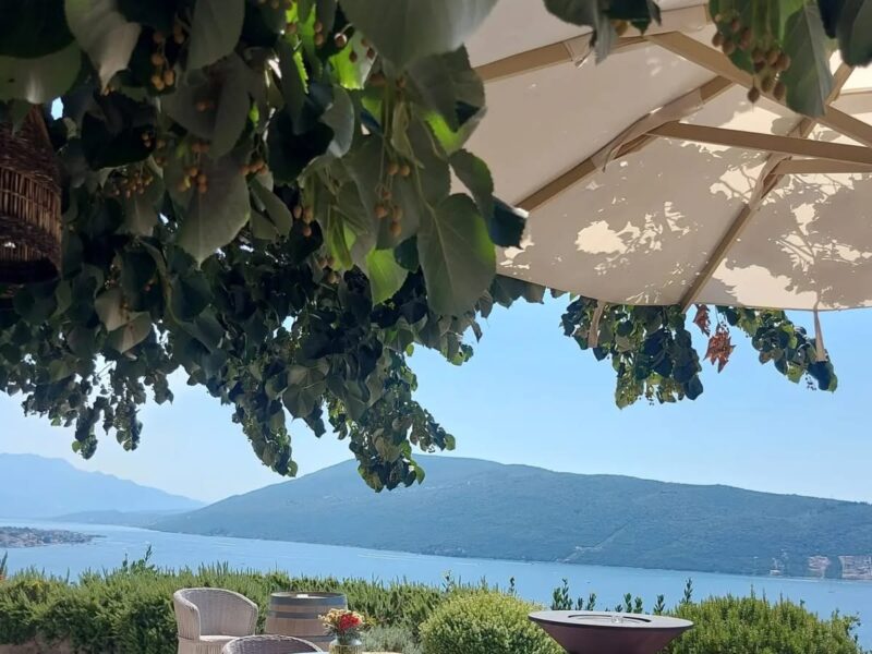 Herceg Novi and Savina Winery - Stone, Sea and Wine Above the Bay