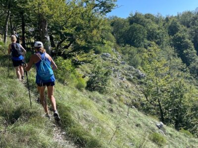 Orjen Mountain Hike – Forest Trails and Lunch at the Mountain House