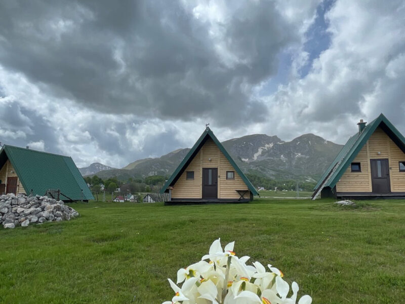 Mountain peaceful cottage #1