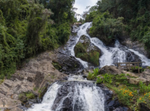 Medellin TOUR EASTERN ROUTE 