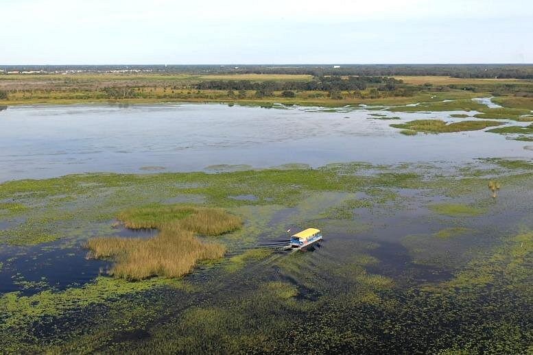 5 Days of Orlando Magic & Adventure