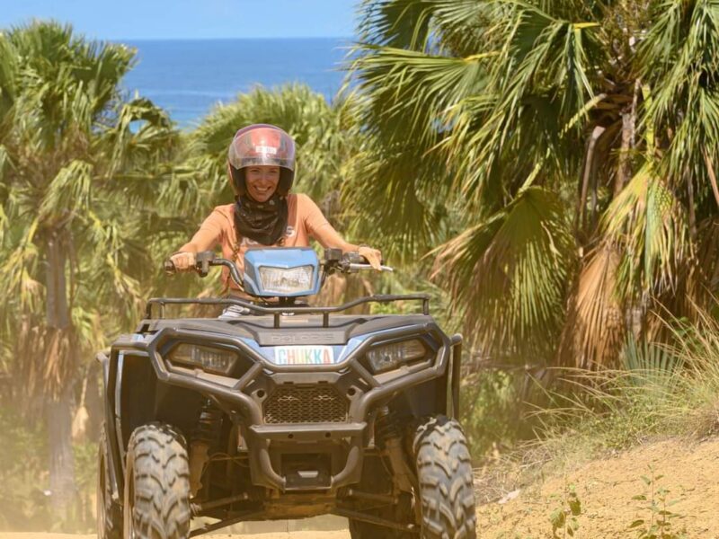 ATV + Zipline + Horseback Swim