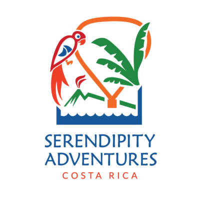 Serendipity